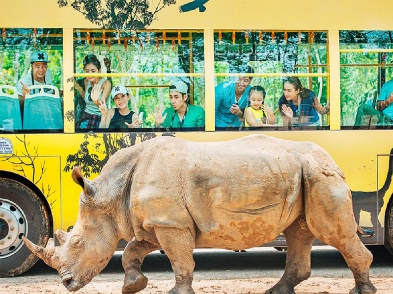 Kinh nghiệm đi vinpearl Safari Phú Quốc - ngồi xe ngắm thú