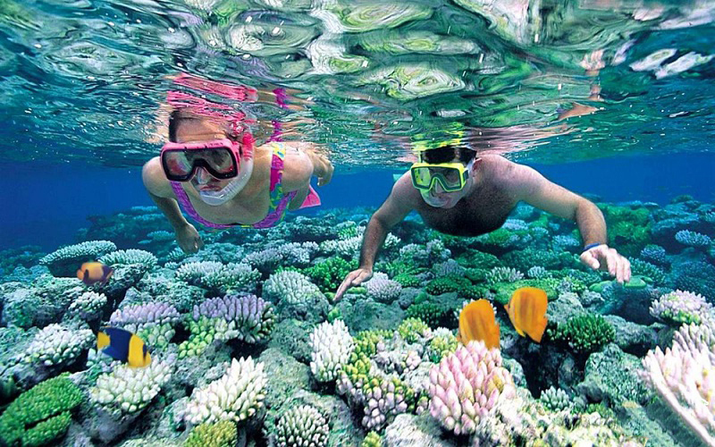 Lặn ngắm san hô, một hoạt động yêu thích của du khách đến Phú Quốc