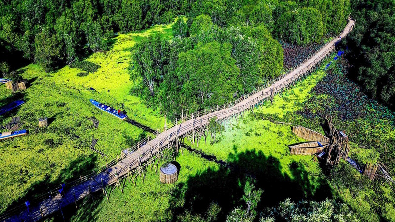 Cầu tre dài nhất Việt Nam ở rừng tràm Trà Sư