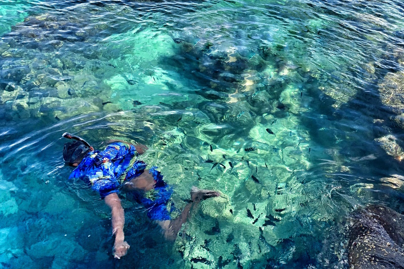 lặn ngắm san hô hòn Gầm Ghì