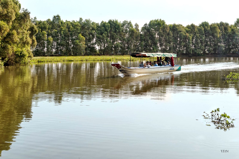 Một hành trình thú vị tại Vườn quốc gia Tràm Chim bằng thuyền máy (tấc ráng)