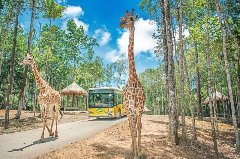 Những địa điểm check in Phú Quốc hấp dẫn nhất hè 2026