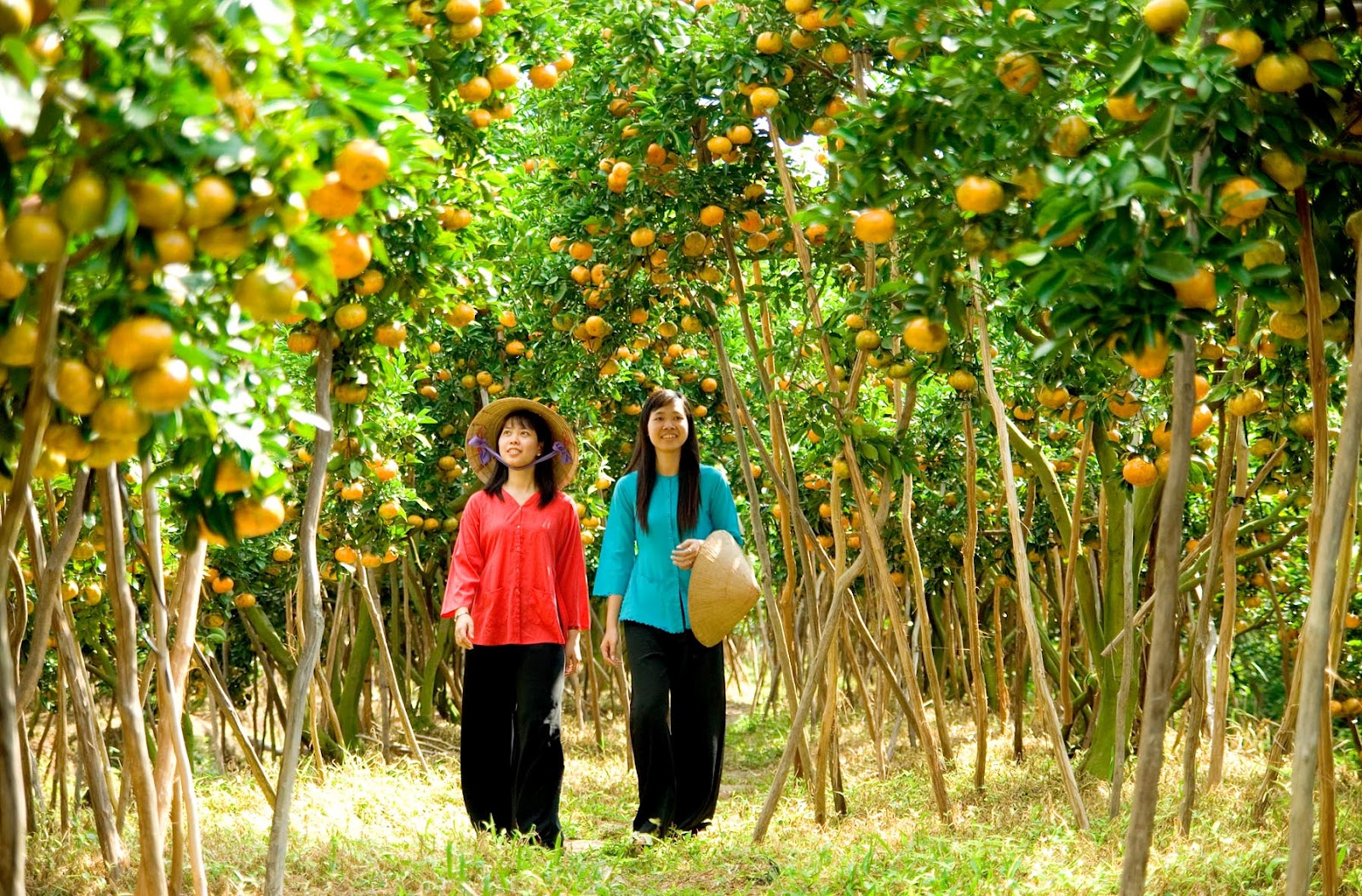 Du lịch miền Tây tháng mấy đẹp