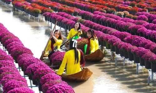 Chụp ảnh làng hoa Sa Đéc dịp trước Tết