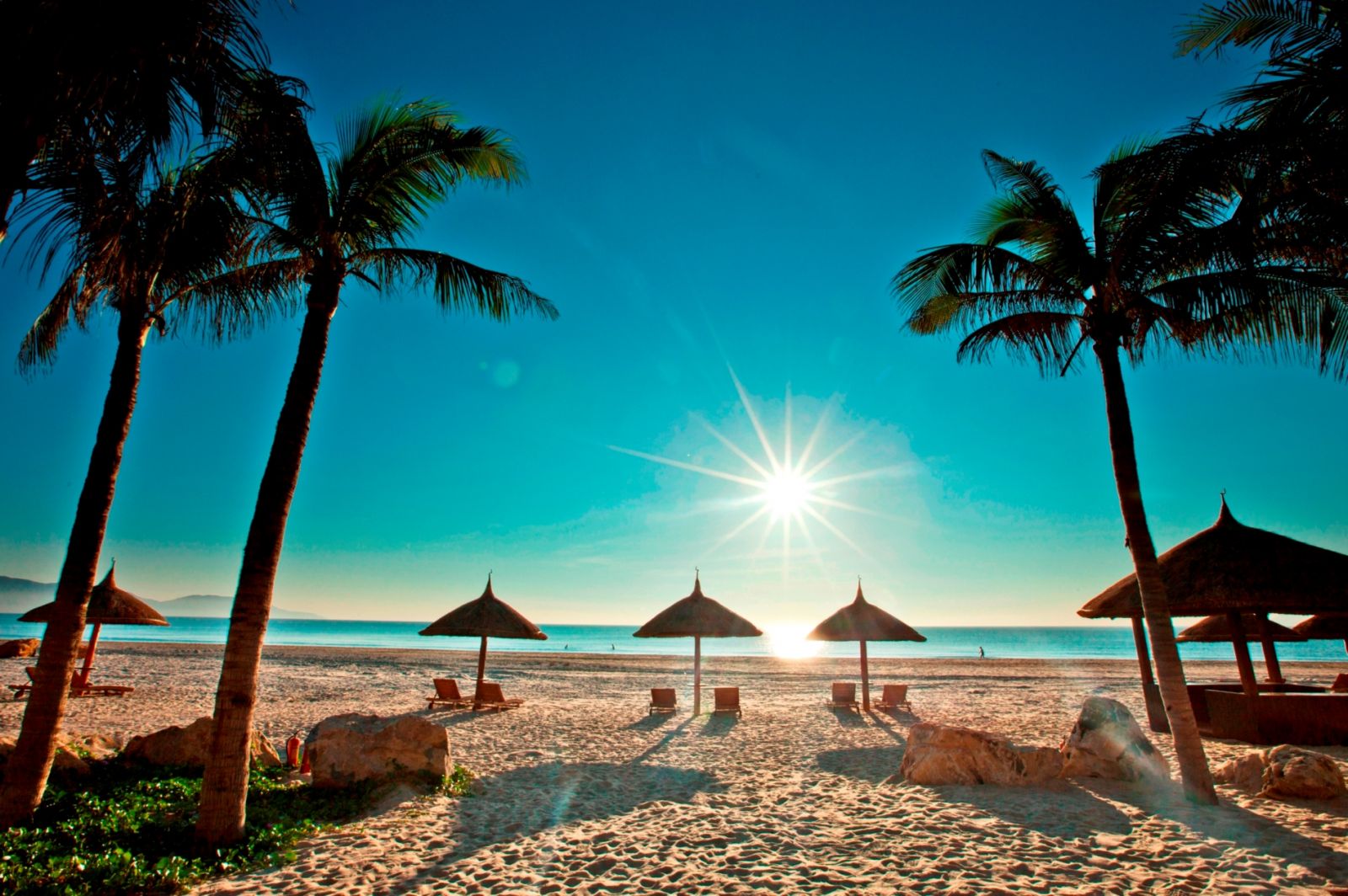 dong dao PQ 5