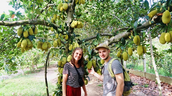 Tìm đơn vị có tour Miền Tây giá ưu đãi