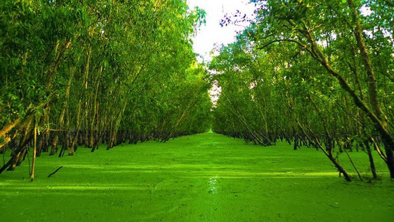 Du lịch miền Tây dịp hè chơi gì