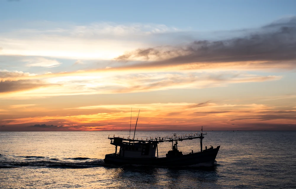 Trải nghiệm hấp dẫn về tour câu mực đêm Phú Quốc