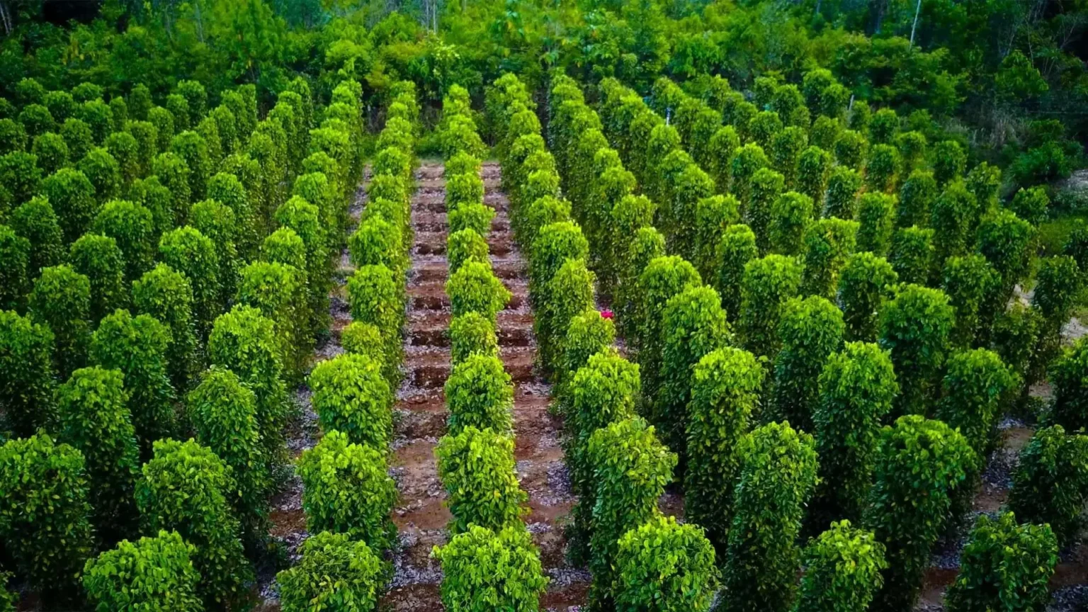 Khám phá bắc đảo Phú Quốc