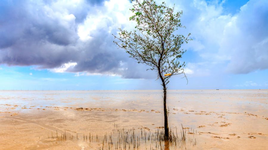 Du lịch Sóc Trăng 1 ngày thì nên đi những điểm nào